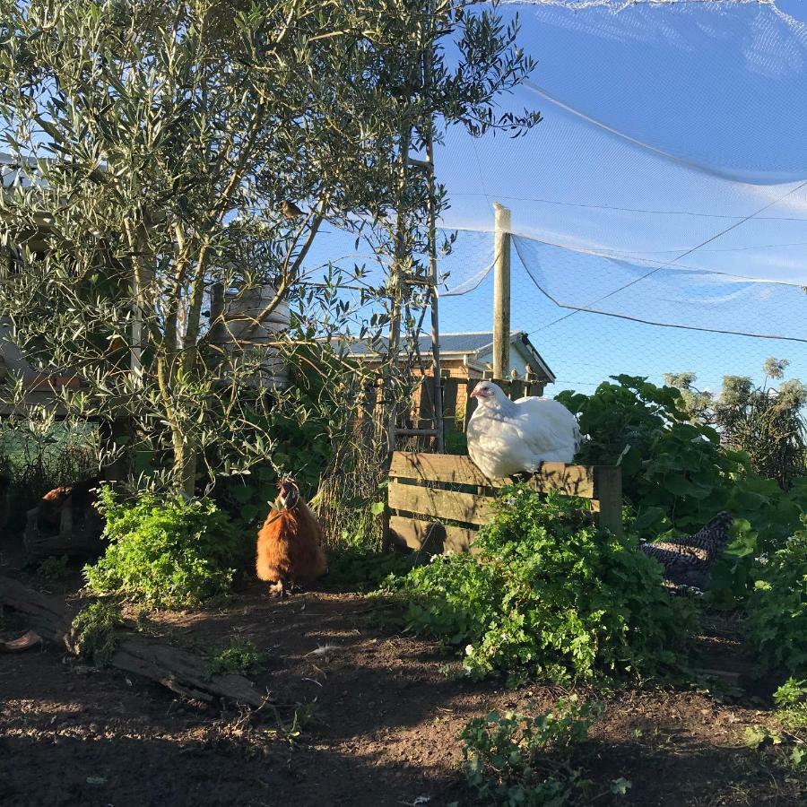 Апартаменты Langleys Port Campbell Hobby Farm Экстерьер фото